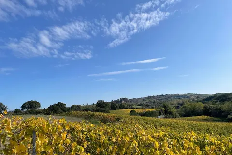 Il Podere di Marfisa in Farnese — foto 8