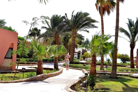 Eagles Paradise Abu Soma Resort in سفاجا — foto 26