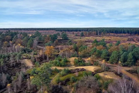 Center Parcs Erperheide foto 25