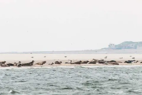 WestCord ApartHotel Boschrijck foto 19