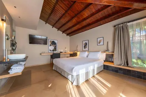 Hotel Huerto del Cura in Elx / Elche — foto 29