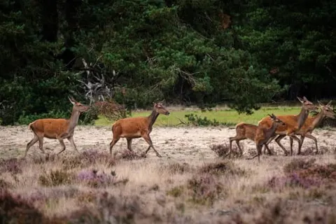 Hotel de Wereld foto 20