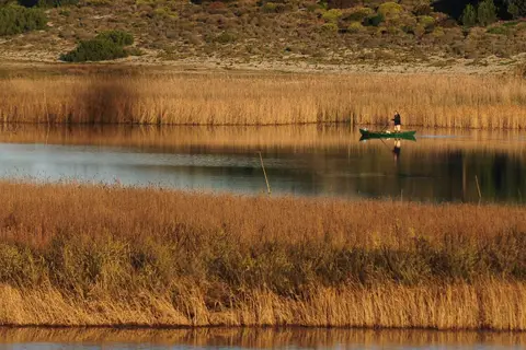 Wecamp Reserva Alecrim in Santiago do Cacém — foto 25