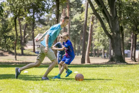 Camping De Bergen foto 27