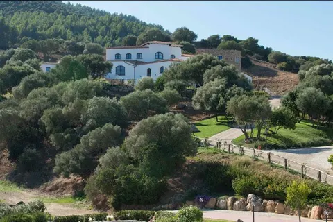 Tenuta Su Vrau in Posada — foto 17