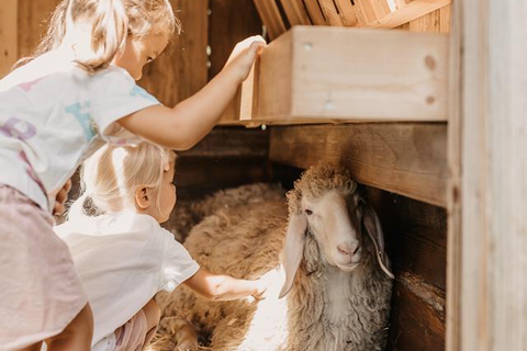 Hofgut Wagrain Apartments & Lifestyle Resort foto 28