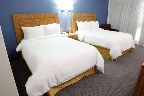 Radisson Hotel & Convention Center Toluca in Toluca de Lerdo — foto 18