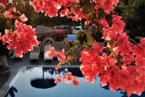 Artemis Hotel in Δημοτική Ενότητα Θήρας — foto 14