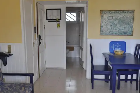 Teneguia in Puerto De La Cruz — foto 15