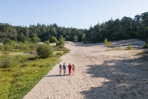 Camping Rcn Het Grote Bos foto 20