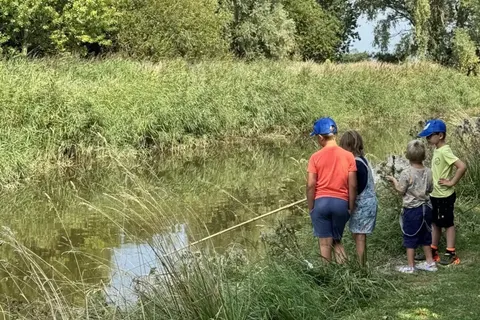 Camping De Molenhoek foto 3