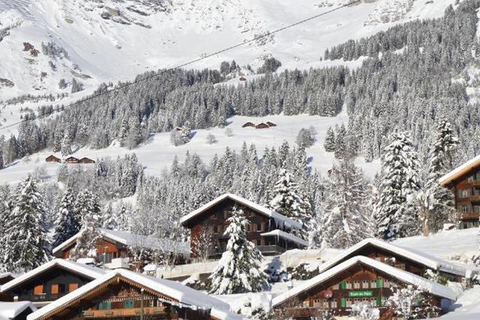 Hotel Les Sources in Ormont-Dessus — foto 11