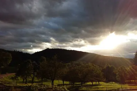 Landgasthof Grüner Baum foto 18