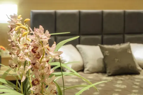 Appartementen Albatros foto 11