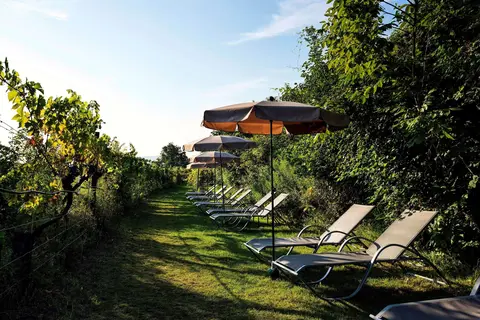 Steigenberger Hotel & Spa Krems in Krems — foto 2