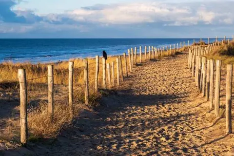 Hotel Neptunus foto 17