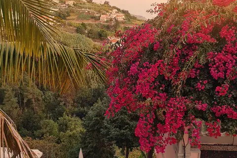 Villa Alto Boutique Hotel in Ponta do Sol — foto 30