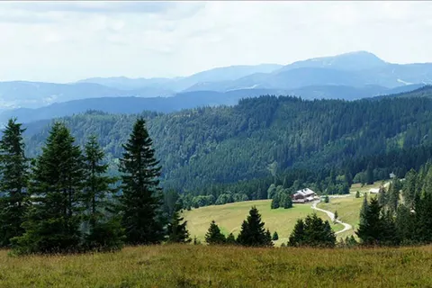 Camping Kinzigtal foto 13