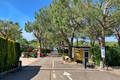Serenella in Bardolino (VR) — foto 11