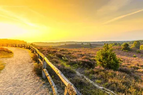 Hotel De Bilderberg foto 22