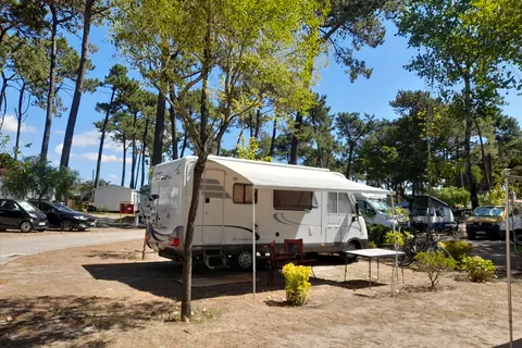 Camping Caminha foto 12