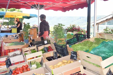 Camping La Pinatelle foto 5