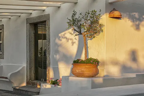 Olival de Sao Filipe foto 6