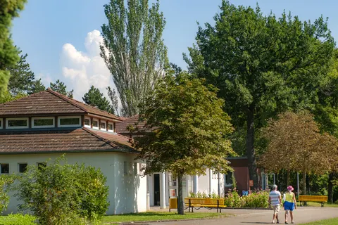 Camping L Ile Du Rhin foto 8