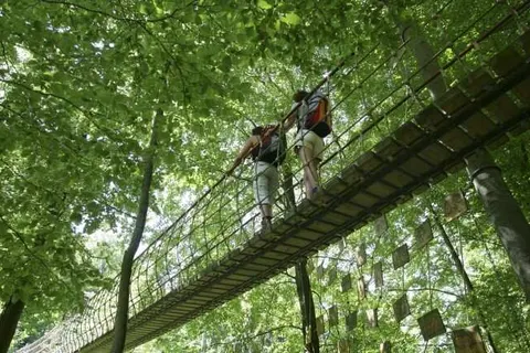Elpe Apartments in Olsberg — foto 14