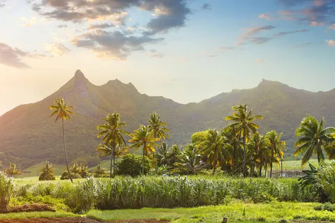 Perfect Match South Africa & Mauritius foto 5