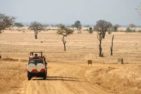 Geheime Schatten van Tanzania in Tanzania — foto 3