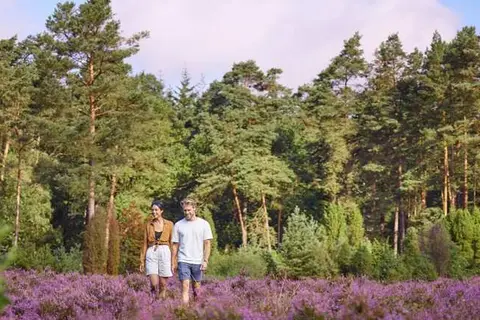 Center Parcs Bispinger Heide - Hotel in Bispingen, foto 14