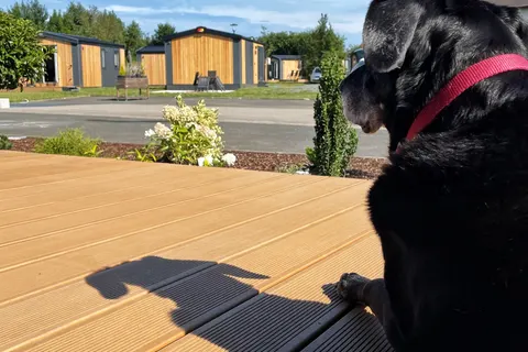 Camping Nabburg foto 10