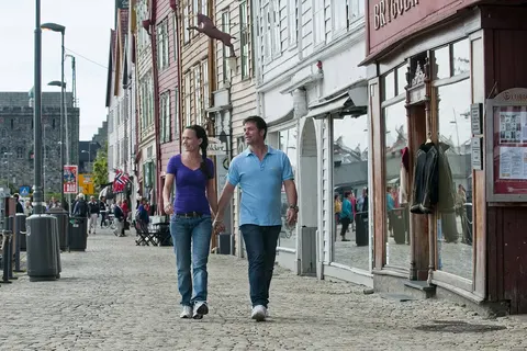 Fjorden, Gletsjers en Dalen foto 10