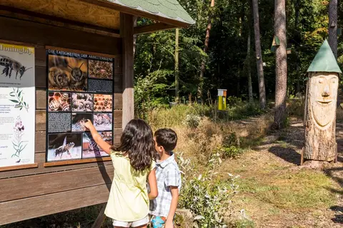 Sonnenberg in Leiwen — foto 10