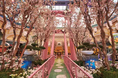 Hotel Bellagio foto 15