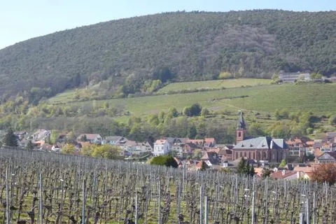 St. Martiner Castell foto 15