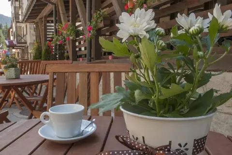 GreenLife Pamporovo in Пампорово — foto 22