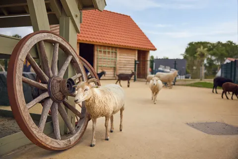 Center Parcs Park Zandvoort foto 11