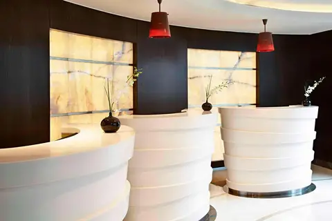 Renaissance Istanbul Polat Bosphorus Hotel in İstanbul, foto 10