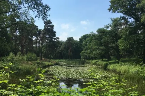 Hotel Kapellerput Heeze-Eindhoven foto 22