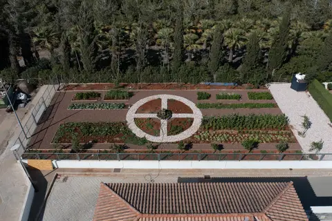 Atlantis Gardens in Mazotos — foto 12