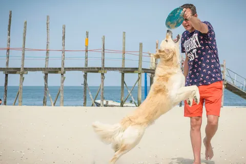 Vakantiepark De Krim foto 28