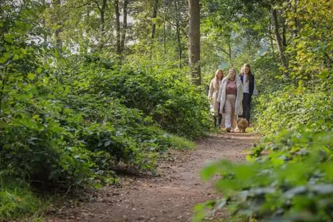 De Boshoek in Voorthuizen — foto 8