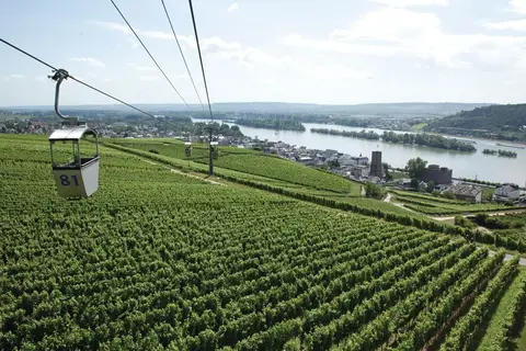 Hotel Felsenkeller in Rüdesheim am Rhein — foto 22
