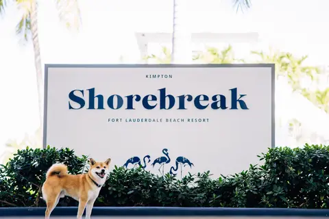 Kimpton Shorebreak Fort Lauderdale Beach Resort in Fort Lauderdale — foto 10