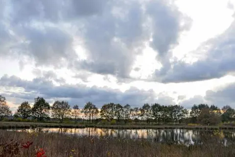 Vakantiepark Drentse Vennen foto 13