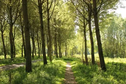 Vakantiepark Delftse Hout foto 23