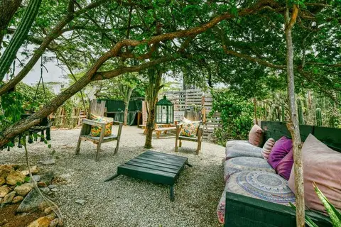 Mammaloe's in Santa Cruz — foto 8