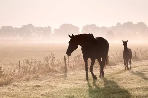 Landgoed de Holtweijde foto 29